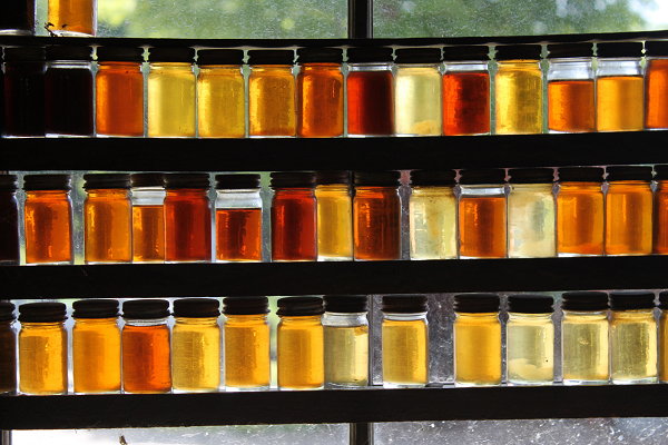 Color variations of honey